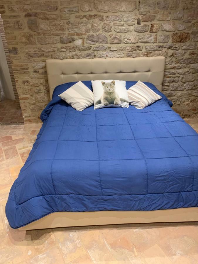 Apartmán Mamihouse Gubbio Exteriér fotografie